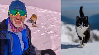 Omul de pe Omu. Povestea meteorologului care trăiește la peste 2.500 de metri, cu pisica Rodica și vulpea Foxy