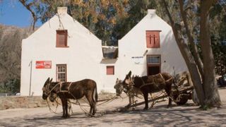 În 1830, doi germani au fondat un mic oraș în Africa de Sud care avea să devină locul de naștere al celebrelor încălțări veldskoen