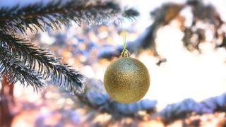 Cum va fi vremea de Crăciun și Revelion. Șefa ANM spune dacă vom avea zăpezi de sărbători