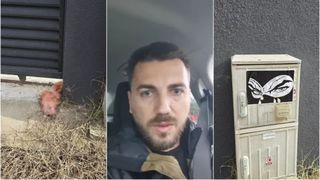 Curiosul caz al capului de porc. Un consilier angajat la AUR mărturisește că este autorul faptei, dar răstoarnă situația cu o acuzație