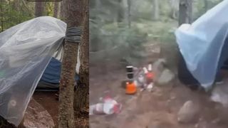 Un bărbat dispărut de 17 ani și declarat mort a fost găsit în viață, în munți: Trăia într-un cort improvizat. Ce s-a aflat despre el