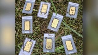 Zece lingouri de aur, descoperite de angajatul unei primării &icirc;n timp ce tundea iarba: Nimeni nu le-a revendicat. Cine va păstra comoara