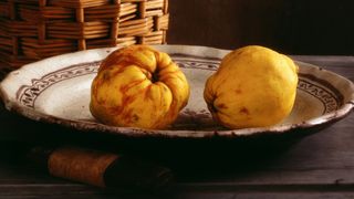 M&acirc;ncare de gutui, rețetă veche rom&acirc;nească. Cum se face sosul dulce-acrișor, cu zahăr caramelizat