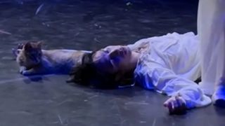 Final tragic, reacții comice. Un motan a &icirc;ntrerupt "Romeo și Julieta", s-a jucat nestingherit pe scenă și a cucerit publicul