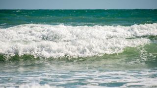 Bacteria periculoasă se răsp&acirc;ndește &icirc;n Marea Neagră. Ce trebuie să știe turiștii &icirc;nainte de a intra &icirc;n apă