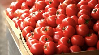 Unde au fost descoperite roșii cu Salmonella. Este o locație populară printre rom&acirc;ni