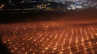 O fermă din Cluj a aprins 4.000 de lumănări ca să salveze cireșii: &bdquo;40.000 de euro transformați &icirc;n fum și căldură&rdquo;