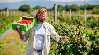 Operațiunea &bdquo;șpagă cu elicopterul&rdquo;. Omul de afaceri care mituia angajați din hipermarketuri ca să-i accepte marfă stricată