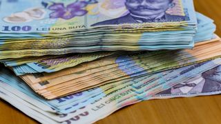 Sinecurile răm&acirc;n și &icirc;n bugetul pe 2026. Statul dă milioane de lei pentru instituții inutile