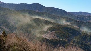 Japonia pierde 1.600.000.000 de dolari pe zi pentru o greșeală banală din anii &rsquo;50. Ce este &bdquo;norul&rdquo; invizibil care a &icirc;mbolnăvit jumătate de țară