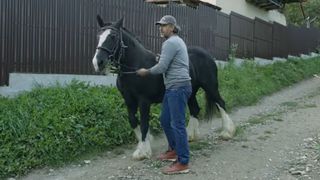 Dragoș Bucur a făcut recenzia animalelor de la țară. Ce crește &icirc;n curte după ce s-a mutat din București: &bdquo;La casă treaba nu se termină niciodată&rdquo;