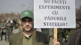 Șeful milionar din Romsilva are parc de dinozauri. Adrian Dănuț Apostu încasează 35.000 de euro pe lună, de la stat și din mediul privat