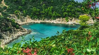 Top 7 cele mai frumoase plaje din Grecia, de la nisipul roz din Creta la peisajul selenar din Milos. Recomandările experților pentru vara 2026