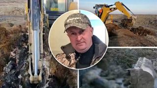 Procesul sutelor de mii de tone de animale &icirc;ngropate ilegal pe malul Dunării a ajuns la final: după 39 de termene de judecată faptele s-au prescris