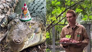 Crocodilul Fidel a &icirc;mplinit 40 de ani și a fost răsfățat cu un tort din carne de vită | VIDEO