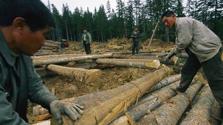 Mărturii ale unor nord-coreeni trimiși în Rusia să muncească ca „sclavii”: 18 ore de muncă pe zi și doar două zile libere pe an