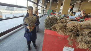 Au apărut legumele pentru murături în Piața Obor. Cât costă castraveții, varza și gogonelele