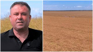 Un fermier a dat lovitura în Israel cu o legumă cultivată și în România. Ce se vinde însă în supermarketurile de la noi