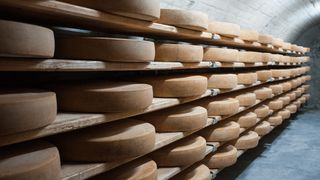 Cum a ajuns brânza să fie păzită de crima organizată. Jaful celor 22 de tone de cheddar care a zguduit industria alimentară