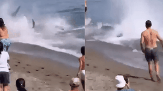 Alertă pe o plajă populară din Spania. O creatură de aproape 300 de kilograme a speriat turiștii