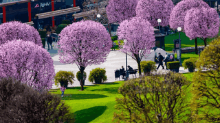 Motivul pentru care un bărbat din Cipru revine în fiecare an la Iași. „Prima dată am venit în ’98. S-a schimbat 100%”