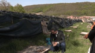 Afacerea inedită cu care a dat lovitura o familie din Bihor: „Am observat o nișă în România”