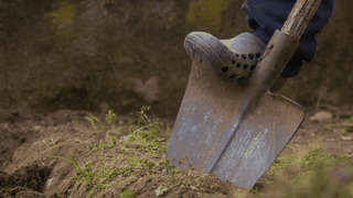 Concurs de săpat morminte într-un cimitir din Ungaria. Cu câți bani au plecat acasă câștigătorii