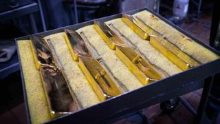 Paradoxul Rovina: 200 de milioane de dolari și sprijin de la Bruxelles, dar fără acord de mediu &icirc;n Rom&acirc;nia