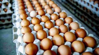 Europa fără ouă! Unul dintre cele mai consumate alimente, oul, va deveni produs de lux