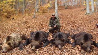 Rom&acirc;nia a pierdut jumătate de miliard de euro de c&acirc;nd a interzis v&acirc;nătoarea. Atacurile urșilor s-au &icirc;nmulțit