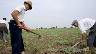 Sute de mii de pensionari primesc mai puțin de 1.000 de lei. Foștii agricultori, printre cei mai afectați