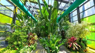 Climatizarea serelor de plante exotice din Parcul Drumul Taberei, supravegheată la un cost de 21.500 de euro pe lună