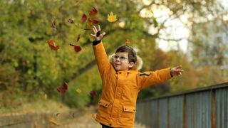Horoscop noiembrie 2026: care zodii au familia &icirc;n prim-plan și care trebuie să &icirc;și țină cariera pe pauză