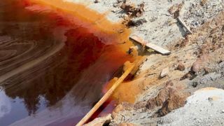 Iazurile miniere otrăvesc zona Băiuț de 20 de ani. Statul se grăbește doar pentru castori