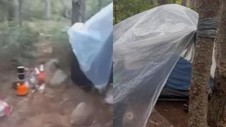 Un bărbat dat dispărut de 17 ani și declarat legal fără viață a fost găsit viu, în munți. Motivul șocant pentru care a ales să trăiască singur, într-un cort improvizat