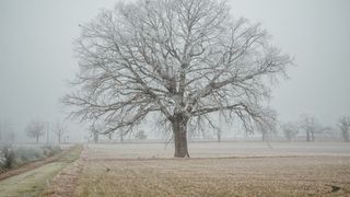 Prognoza meteo duminică, 7 decembrie, 2025: Meteorologii ANM anunță că vremea se încălzește ușor și va mai ploua izolat