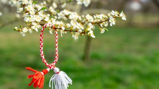 Prognoza meteo luni, 2 martie 2026: Meteorologii ANM anunță vreme deosebit de caldă pentru această perioadă din an