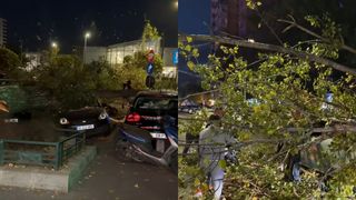 VIDEO Momentul &icirc;n care un copac se prăbușește peste mai multe mașini, &icirc;n București. Un livrator a fost vătămat