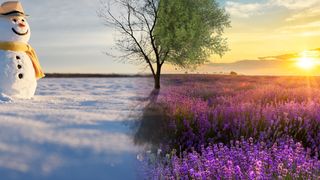 Prognoza meteo luni, 16 februarie 2026: Meteorologii ANM anunță frig și ninsori