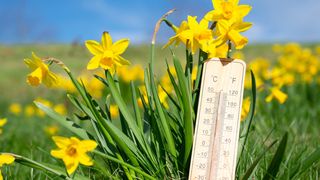 Prognoza meteo ANM luni, 4 mai 2026: Meteorologii anunță temperaturi de peste 25 de grade Celsius