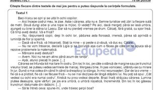 UPDATE Simulare Evaluarea Națională 2026 Limba și literatura rom&acirc;nă: Ce au avut de rezolvat elevii la subiectul al doilea