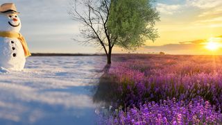 Prognoza meteo ANM pentru vineri, 19 decembrie 2025: Meteorologii anunță cod galben de ceață și temperaturi peste normalul perioadei