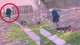 O bătr&acirc;nă de 94 de ani din Botoșani a supraviețuit 3 zile &icirc;ntr-o pădure, &icirc;n condiții vitrege. Cine a protejat-o &icirc;n tot acest timp