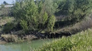 Copil de 4 ani, dat dispărut de mama sa, &icirc;n Vrancea, găsit fără suflare &icirc;ntr-o baltă neamenajată. Acesta a fugit de l&acirc;ngă mama lui &icirc;n timp ce se aflau, &icirc;n vizită, la rude