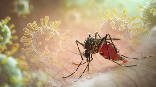 Primul caz de &icirc;mbolnăvire cu virusul West Nile confirmat la Iași. Alți doi pacienți sunt suspecți