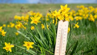 Prognoza meteo luni, 16 martie 2026: Meteorologii ANM anunță temperaturi mai scăzute față de zilele precedente