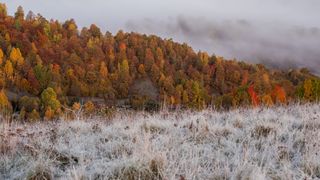 Meteorologii ANM anunță cod galben de ceață. Care este prognoza meteo pentru marți, 16 decembrie 2025&nbsp;&nbsp;&nbsp;&nbsp;&nbsp;&nbsp;&nbsp;&nbsp;&nbsp;&nbsp;&nbsp;&nbsp;&nbsp;