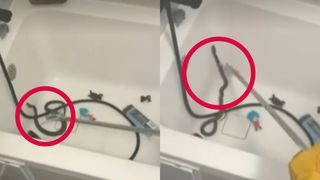 Descoperire șocantă &icirc;n Medgidia! O femeie a găsit un șarpe &icirc;n cada &icirc;n care urma să-i facă baie copilului