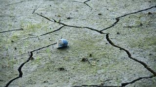 Rom&acirc;nia a fost zguduită de o mișcare seismică &icirc;n această dimineață, &icirc;n ziua c&acirc;nd se &icirc;mplinesc 49 de ani de la cutremurul din '77