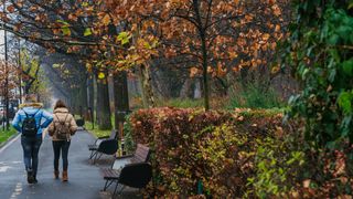Prognoza meteo ANM pentru duminică, 25 octombrie 2026. Meteorologii anunță ploi, ceață și temperaturi de p&acirc;nă la 20 de grade. Cum va fi vremea &icirc;n București